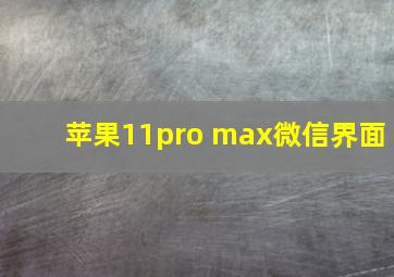 苹果11pro max微信界面